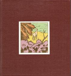 Anasazi by Matt Bryan